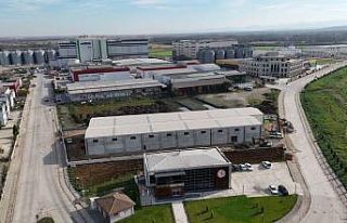 Samsun Gıda OSB’den 100’ün üzerinde ülkeye...