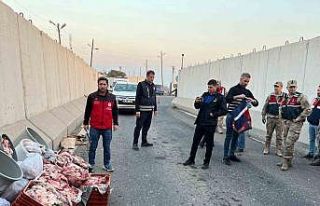 Şanlıurfa’da 1 ton kaçak et ele geçirildi