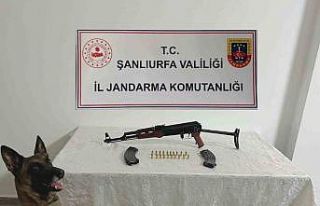 Şanlıurfa’da ruhsatsız silah operasyonu
