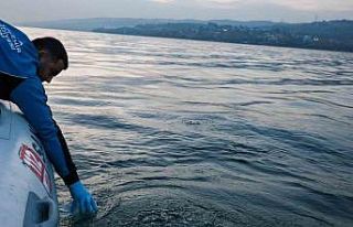 Sapanca Gölü’ndeki kabarcıkların sebebi belli...