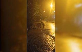 Sarıkamış’ta ayılar kış uykusunu unuttu