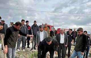 Selendi’de 800 fidan toprakla buluşturuldu