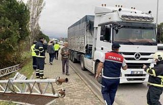 Seyir halindeki tırın açılan dorsesi PTS’ye...