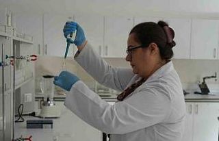 Sık sık gündeme gelen zehirlenmelerle ilgili uzmanlardan...