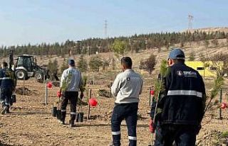 Sincan Belediyesi’nden kadına yönelik şiddete...