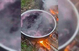 Sinop köylerinde kazanlar kaynıyor: Kışlık pekmez...