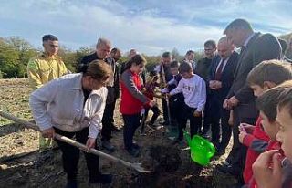 Sinop’ta 3 bin 860 fidan toprakla buluştu