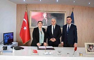 Sokak hayvanları için doğal yaşam alanı oluşturulacak