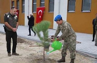 Söke’de "Yeşil Vatan" için fidanlar...