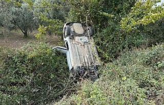 Sollama yaparken zeytinliğe uçtu