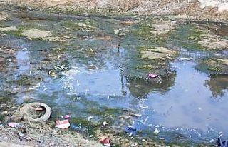 Sulama kanalındaki balıklar telef olmaya devam ediyor