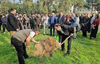 Sultanhisar’da fidanlar toprakla buluştu