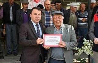 Tavas’ta zeytin seferberliği kapsamında açılan...