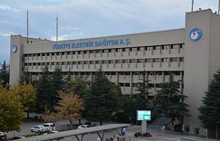 TEDAŞ Canlı Hat Bakım Projesi ihaleye çıktı