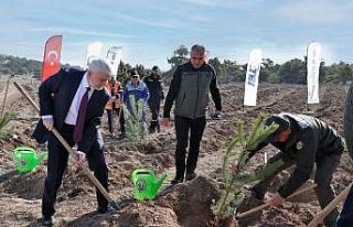 TEI’den 17 bin fidanlık 40. Yıl Hatıra Ormanı