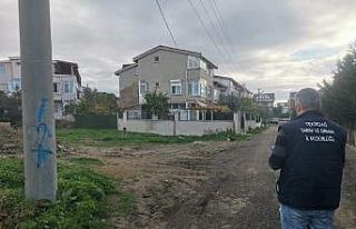 Tekirdağ’da sahipsiz sokak hayvanları için sayım...