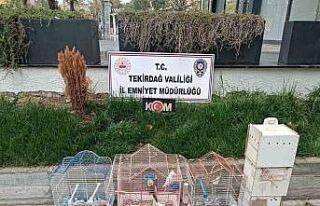 Tekirdağ’da yasa dışı hayvan üretimine ağır...