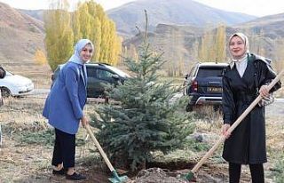Tercan’da fidanlar toprakla buluştu