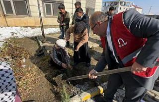 "Türkiye yeşeriyor, Gazze güçleniyor"...