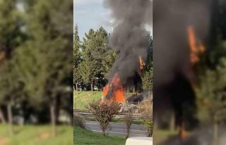 Tuzla’da seyir halindeki tır alev alev yandı