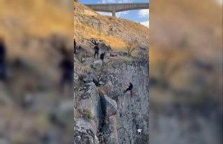 Uçurumda mahsur kalan keçi kurtarıldı