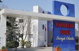 Uluslararası Sürdürülebilirlik ve Matematik Performansı...