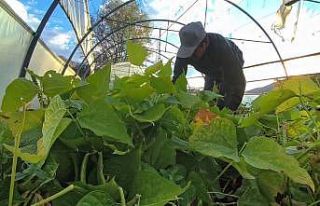Ünlü şeflerin vazgeçilmez lezzeti: İspir Fasulyesi...