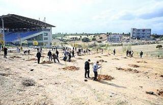 Uşak Üniversitesi, Milli Ağaçlandırma Günü’nde...