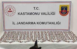 Uyuşturucuyla yakalanan şahıs utuklandı