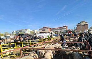 Uzun süredir kapalı olan canlı hayvan pazarı açıldı