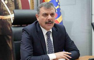 Vali Çiftçi; "Erzurum’da sokak hayvanları...