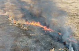 Van’da sazlık yangını