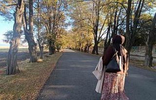 Van’da sonbahar renk cümbüşü