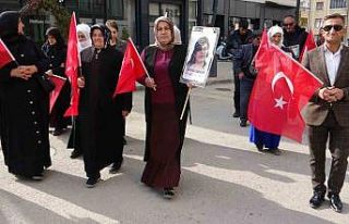 Vanlı ailelerin evlat nöbeti 112’nci haftasında...