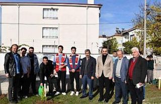 Vezirköprü’de Gazze ve şehitler için fidanlar...