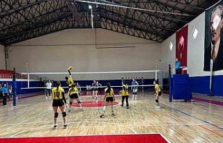 Vezirköprü’de voleybol turnuvası tamamlandı