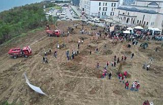 Yalova’da fidanlar toprakla buluşturuldu
