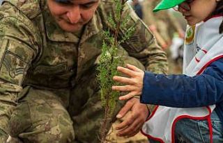 Yangında küle dönen ormanları minik eller yeşertecek