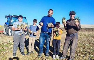 Yozgat’ta pancar mesaisi sürüyor, 6 aylık emeğin...