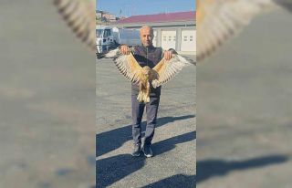 Yüksekova’da bulunan yaralı baykuşu tedavi altına...