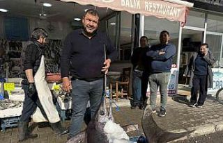 138 kiloluk kılıç balığı ilgi odağı oldu