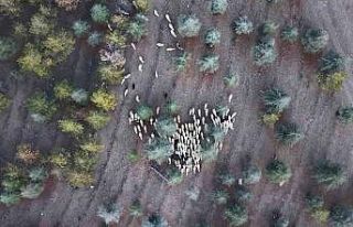 1 milyon 220 bin metrekarelik mera arazisinde "imar...