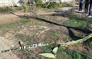 Adana’da bir kadın yol kenarında ölü bulundu