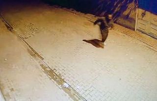 Adana’da evin camlarına taş atıp kaçtı: O anlar...