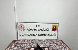 Adana’da jandarma 23 bin 876 uyuşturucu hap ele...