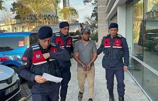 Ağaç kesimi sırasında komşusunun ölümüne sebep...