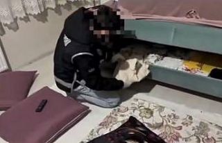 Ağrı’da kaçakçılık operasyonunda milyonluk...