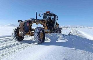 Ağrı’da kar ve tipi nedeniyle kapanan 354 köy...