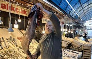 Akdeniz’de 1,5 metrelik Atlas balığı yakalandı