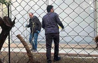 Alanya’da alacak verecek meselesi kanlı bitti,...